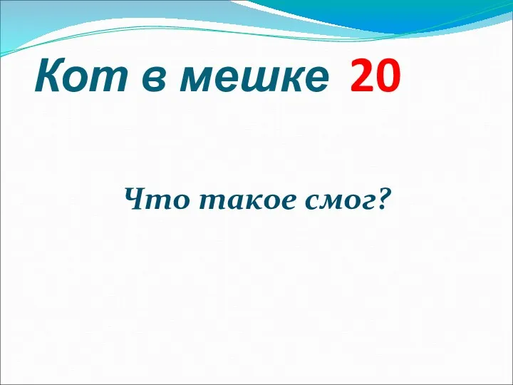 Кот в мешке 20 Что такое смог?