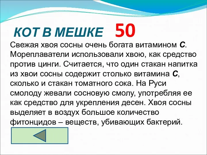 КОТ В МЕШКЕ 50 Свежая хвоя сосны очень богата витамином