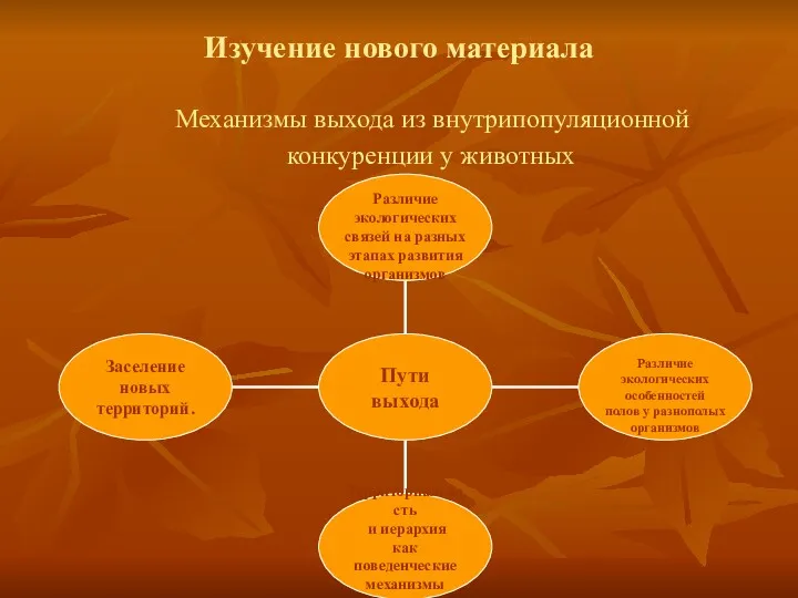 Изучение нового материала Механизмы выхода из внутрипопуляционной конкуренции у животных