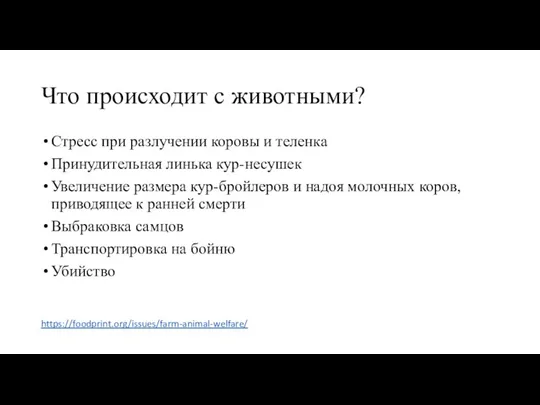 Что происходит с животными? Стресс при разлучении коровы и теленка