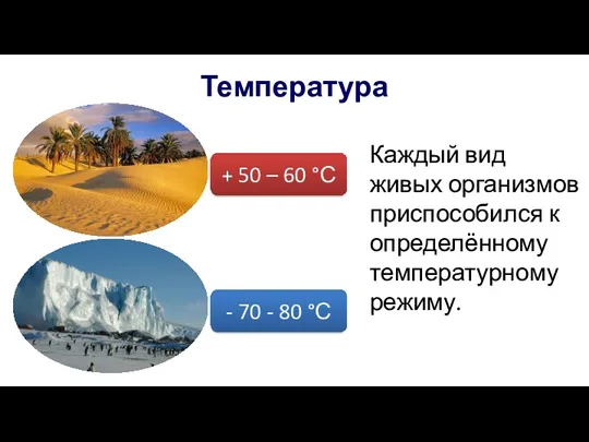 Температура + 50 – 60 °С - 70 - 80