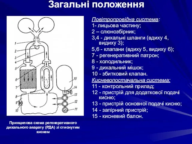 Загальні положення Повітропровідна система: 1- лицьова частину; 2 – слюнозбірник;