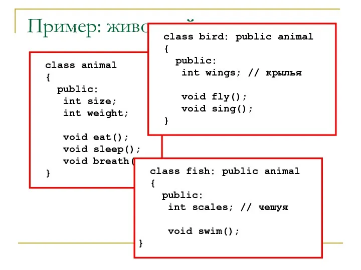 Пример: животный мир class animal { public: int size; int