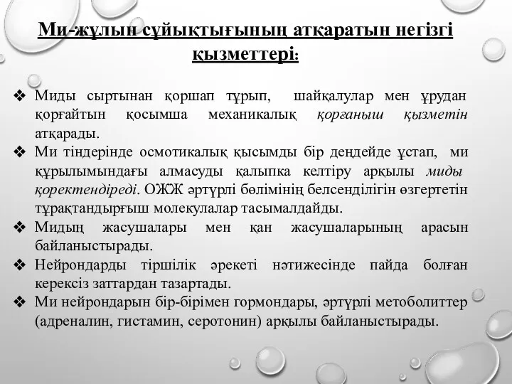 Ми-жұлын сұйықтығының атқаратын негізгі қызметтері: Миды сыртынан қоршап тұрып, шайқалулар