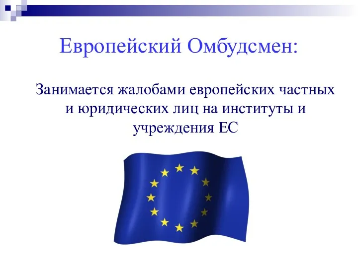 Европейский Омбудсмен: Занимается жалобами европейских частных и юридических лиц на институты и учреждения ЕС