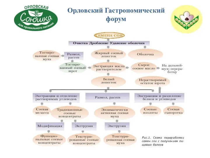 Схема переработки Орловский Гастрономический форум