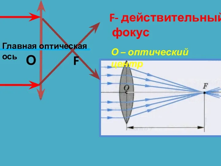 F- действительный фокус О – оптический центр Главная оптическая ось