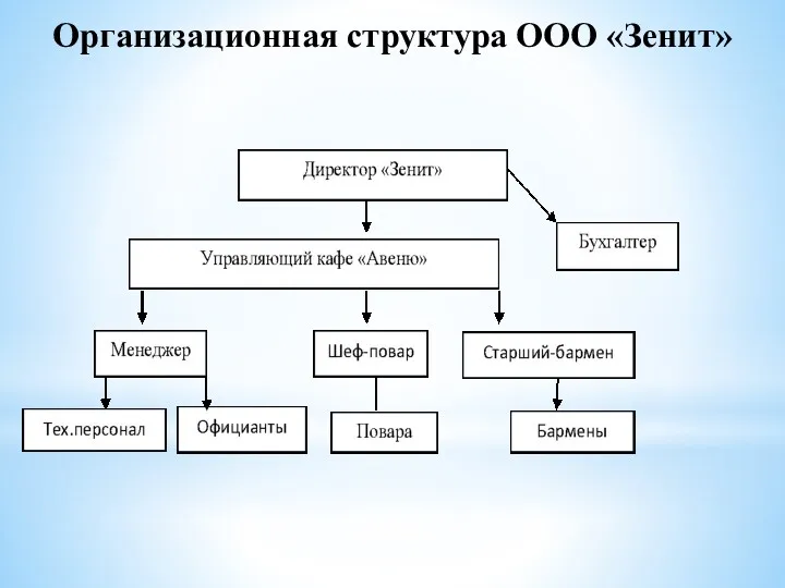 Организационная структура ООО «Зенит»