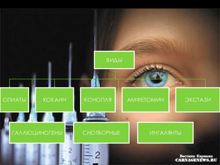 ОПИАТЫ КОКАИН КОНОПЛЯ АМФЕТОМИН ЭКСТАЗИ ВИДЫ ГАЛЛЮЦИНОГЕНЫ СНОТВОРНЫЕ ИНГАЛЯНТЫ