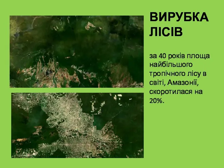 ВИРУБКА ЛІСІВ за 40 років площа найбільшого тропічного лісу в світі, Амазонії, скоротилася на 20%.