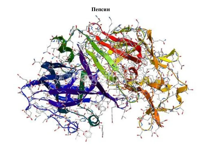 Пепсин