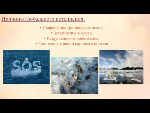 Причины глобального потепления: Сокращение тропических лесов; Загрязнение воздуха; Разрушение озонового слоя; Рост концентрации парниковых газов