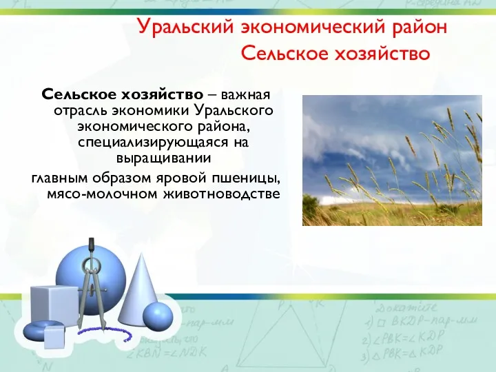 Уральский экономический район Сельское хозяйство Сельское хозяйство – важная отрасль