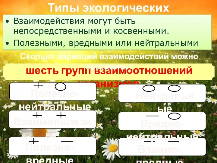 Типы экологических взаимодействий Взаимодействия могут быть непосредственными и косвенными. Полезными,