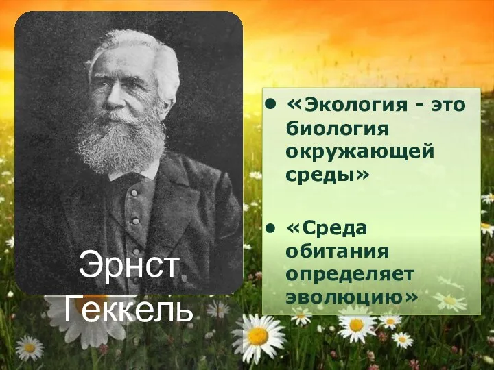 Эрнст Геккель «Экология - это биология окружающей среды» «Среда обитания определяет эволюцию»