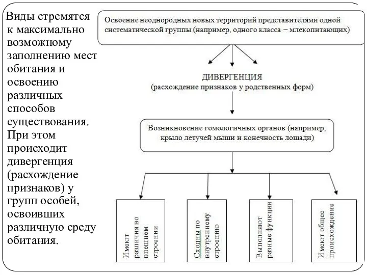 Виды стремятся к максимально возможному заполнению мест обитания и освоению