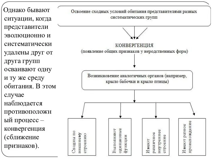 Однако бывают ситуации, когда представители эволюционно и систематически удалены друг