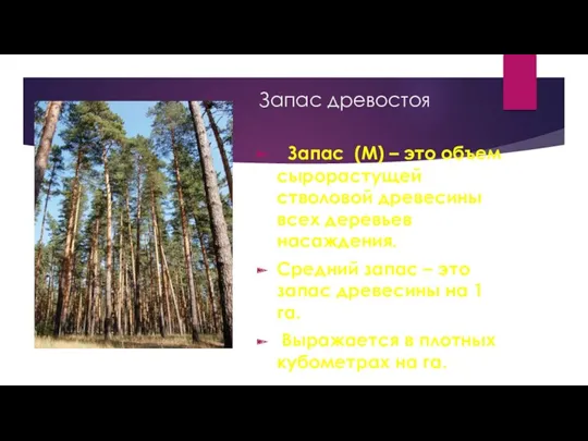 Запас древостоя Запас (М) – это объем сырорастущей стволовой древесины