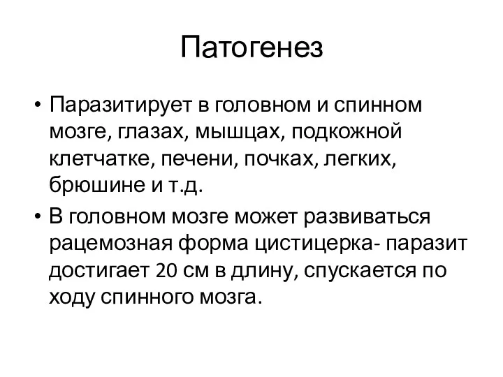 Патогенез Паразитирует в головном и спинном мозге, глазах, мышцах, подкожной