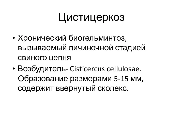 Цистицеркоз Хронический биогельминтоз, вызываемый личиночной стадией свиного цепня Возбудитель- Cisticercus