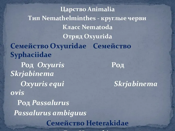 Царство Animalia Тип Nemathelminthes - круглые черви Класс Nematoda Отряд