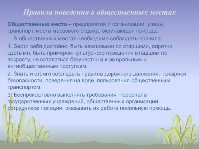 Правила поведения в общественных местах Общественные места – предприятия и