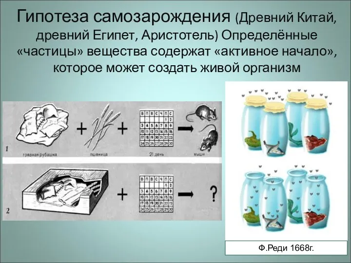 Гипотеза самозарождения (Древний Китай, древний Египет, Аристотель) Определённые «частицы» вещества