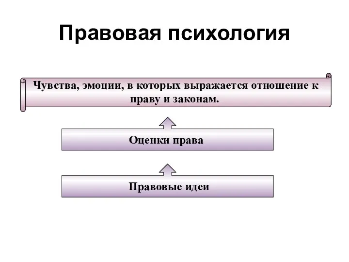 Правовая психология Чувства, эмоции, в которых выражается отношение к праву и законам. Оценки права Правовые идеи