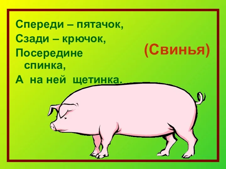 (Свинья) Спереди – пятачок, Сзади – крючок, Посередине спинка, А на ней щетинка.