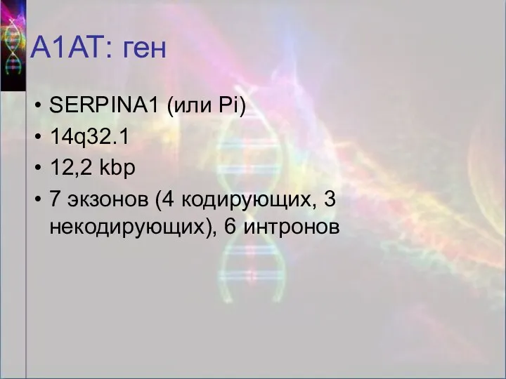 А1АТ: ген SERPINA1 (или Pi) 14q32.1 12,2 kbp 7 экзонов (4 кодирующих, 3 некодирующих), 6 интронов