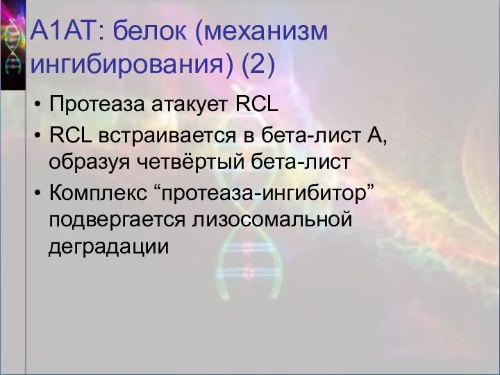 А1АТ: белок (механизм ингибирования) (2) Протеаза атакует RCL RCL встраивается