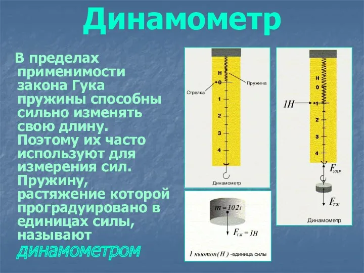 Динамометр В пределах применимости закона Гука пружины способны сильно изменять свою длину. Поэтому