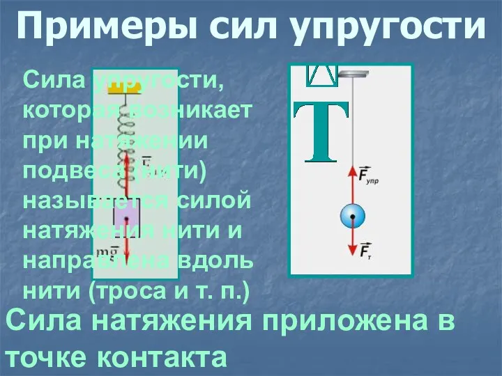 Примеры сил упругости Сила натяжения приложена в точке контакта Сила упругости, которая возникает