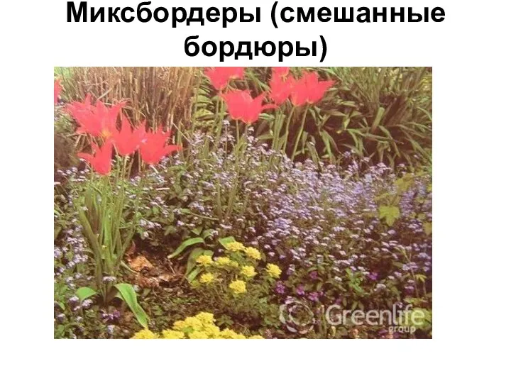 Миксбордеры (смешанные бордюры)