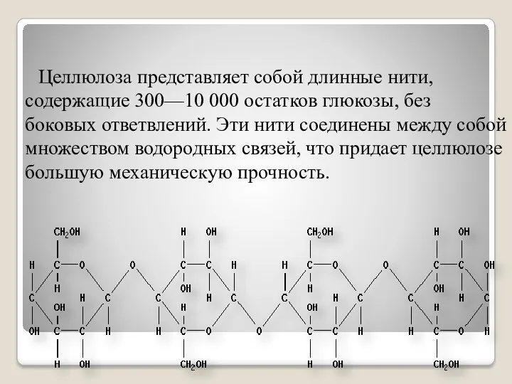 Целлюлоза представляет собой длинные нити, содержащие 300—10 000 остатков глюкозы,