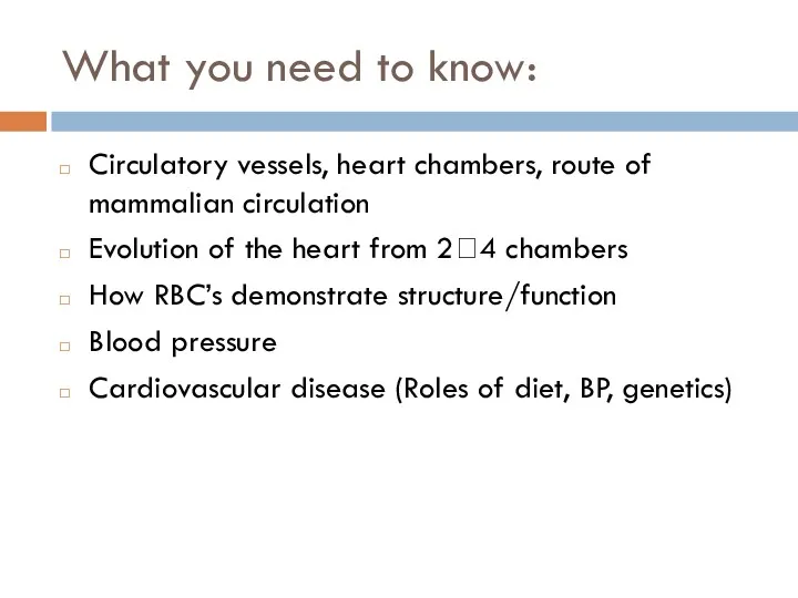 What you need to know: Circulatory vessels, heart chambers, route