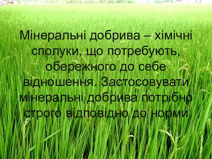 Мінеральні добрива – хімічні сполуки, що потребують, обережного до себе