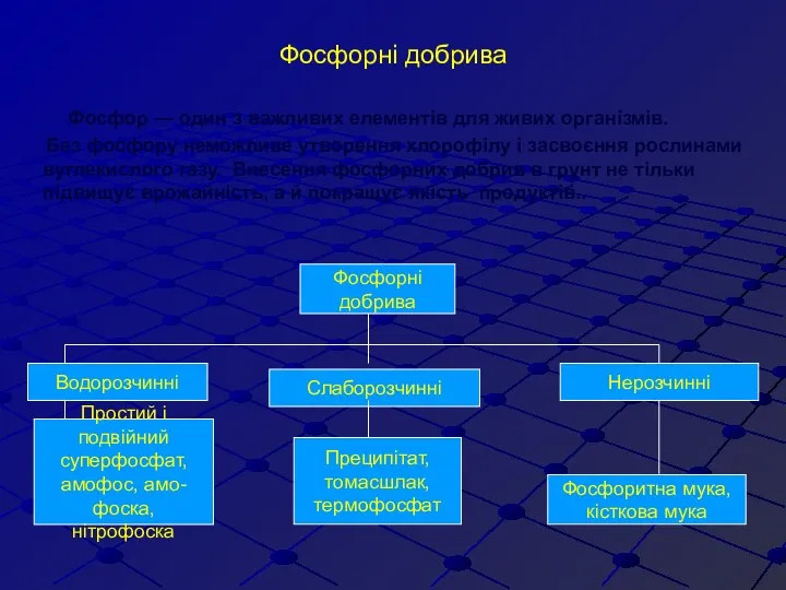 Фосфорні добрива Фосфор — один з важливих елементів для живих