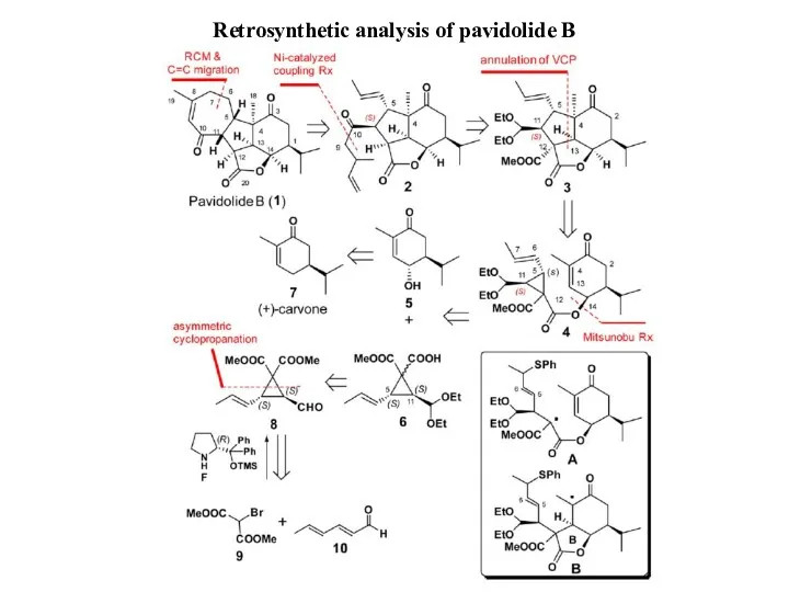 Retrosynthetic analysis of pavidolide B