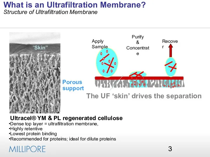 What is an Ultrafiltration Membrane? Structure of Ultrafiltration Membrane “Skin”