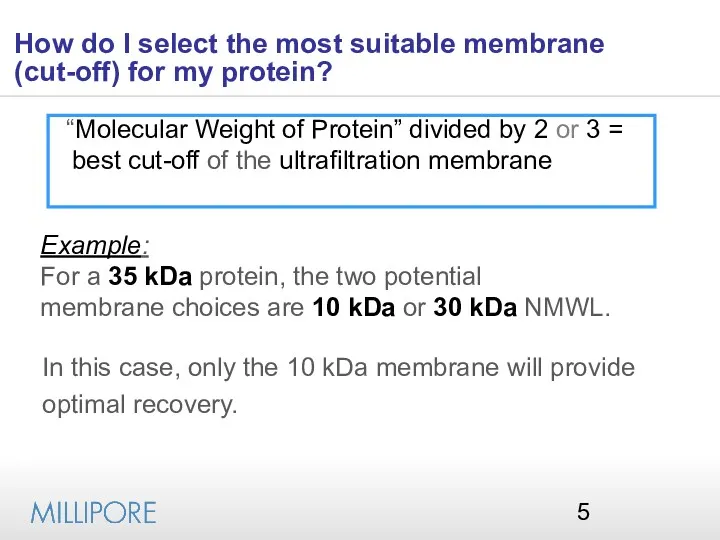 How do I select the most suitable membrane (cut-off) for