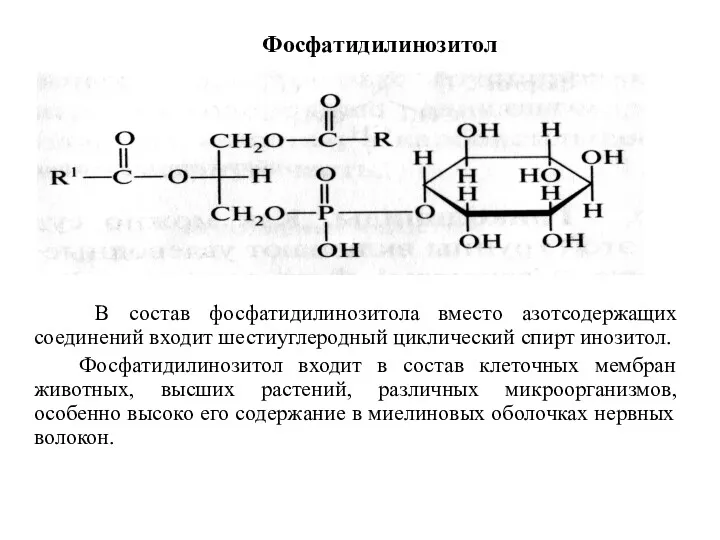 Фосфатидилинозитол В состав фосфатидилинозитола вместо азотсодержащих соединений входит шестиуглеродный циклический