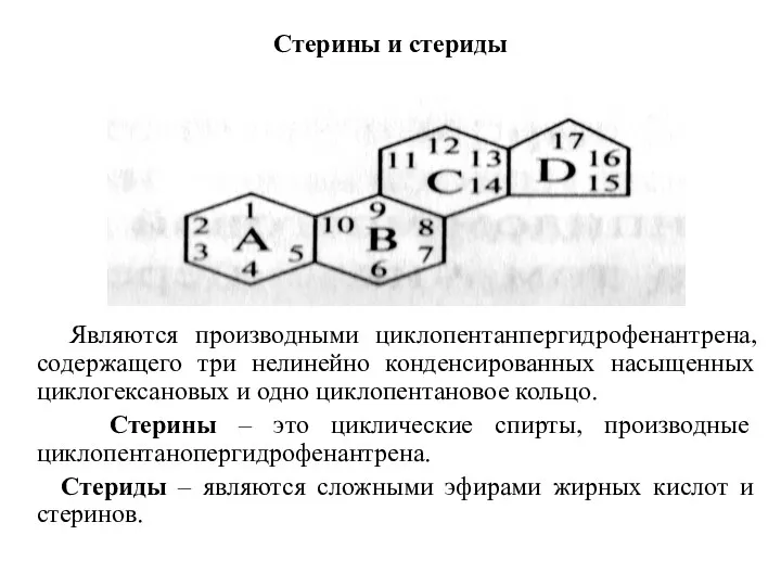 Стерины и стериды Являются производными циклопентанпергидрофенантрена, содержащего три нелинейно конденсированных