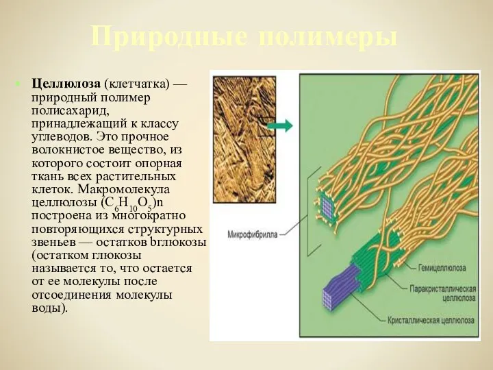 Целлюлоза (клетчатка) — природный полимер полисахарид, принадлежащий к классу углеводов.