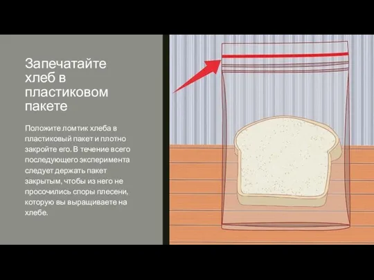 Запечатайте хлеб в пластиковом пакете Положите ломтик хлеба в пластиковый