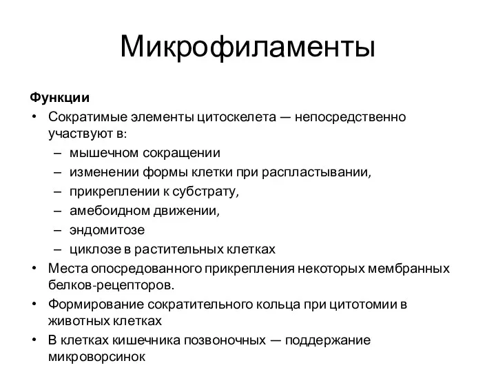 Микрофиламенты Функции Сократимые элементы цитоскелета — непосредственно участвуют в: мышечном