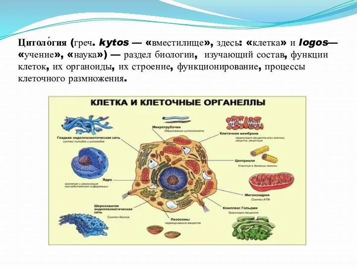Цитоло́гия (греч. kytos — «вместилище», здесь: «клетка» и logos— «учение», «наука») — раздел