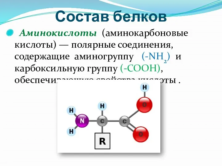 Состав белков Аминокислоты (аминокарбоновые кислоты) — полярные соединения, содержащие аминогруппу (-NH2) и карбоксильную
