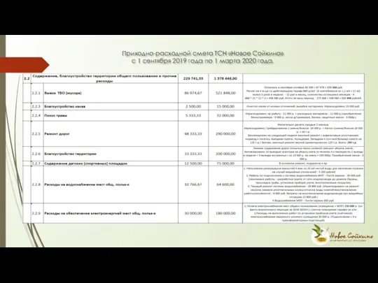 Приходно-расходной смета ТСН «Новое Сойкино» с 1 сентября 2019 года по 1 марта 2020 года.