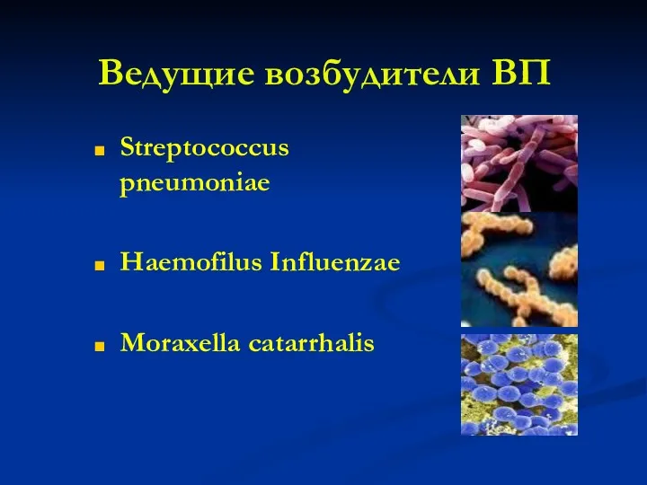 Ведущие возбудители ВП Streptococcus pneumoniae Haemofilus Influenzae Moraxella catarrhalis